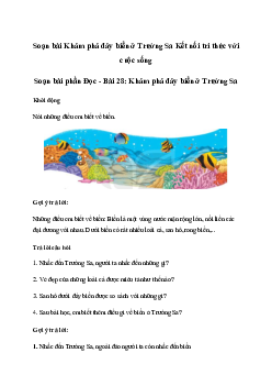 Soạn bài Khám phá đáy biển ở Trường Sa (trang 122) | Tiếng việt 2 sách Kết nối tri thức