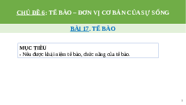 Giáo án điện tử Khoa học tự nhiên 6 bài 17 Chân trời sáng tạo : Tế bào
