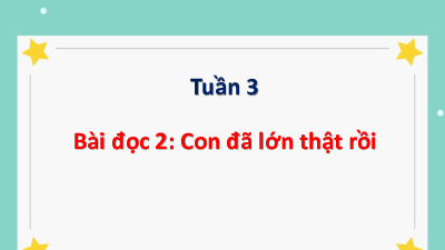 Tuần 3 - Bài đọc 2: Con đã lớn thật rồi | Bài giảng PowerPoint Tiếng Việt 3 | Cánh Diều