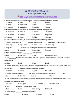 Đề số 4 - Đề kiểm tra giữa kì 2 - Tiếng Anh 9