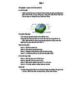 BCTN - Quan Sát Tế Bào Hành Tim: Thí Nghiệm & Kết Quả
