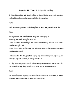 Soạn bài Thực hành đọc: Cánh đồng - Kết nối tri thức Ngữ văn lớp 10