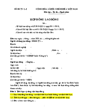 [Mẫu tham khảo] HĐ lao động