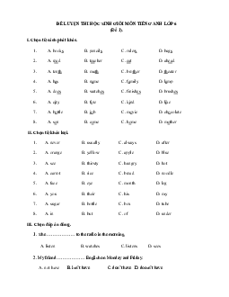 Đề thi học sinh giỏi lớp 6 môn Tiếng Anh năm học 2018 - 2019 (số 1)