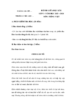 Đề thi giữa học kì 2 Tiếng Việt lớp 3 năm 2023 - 2024 (Đề 2) | Kết nối tri thức
