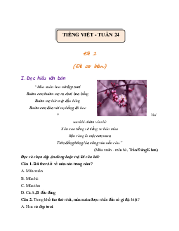 Giải Bài tập cuối tuần lớp 4 môn Tiếng Việt Chân trời sáng tạo - Tuần 24 (Nâng cao)