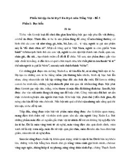 Phiếu bài tập ôn hè lớp 5 lên lớp 6 năm 2024 môn Tiếng Việt - Đề 3