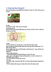 Giải SGK Khoa học lớp 5 Chân trời sáng tạo Bài 14: Sự lớn lên và phát triển của thực vật