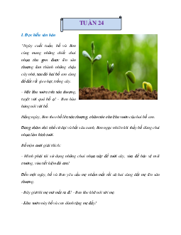 Bài tập cuối tuần Tiếng Việt lớp 3 Cánh Diều Tuần 24 cơ bản
