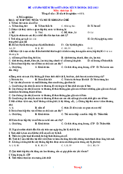 Đề cương kiểm tra giữa học kỳ I năm học 2022-2023 môn sinh học 11