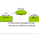 Chương 2,3: Cung Cầu và Các Yếu Tố Ảnh Hưởng môn Kinh tế vi mô | Trường Đại học Kinh Tế Quốc Dân
