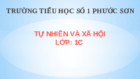 Giáo án điện tử Tự nhiên và xã hội 1 bài 9 Chân trời sáng tạo : Hoạt động của lớp em