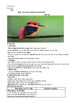 Giáo án Ngữ văn 8 Chân trời sáng tạo bài 7 Yêu thương và hy vọng