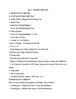 Tóm tắt lý thuyết Sinh học 10 bài 7: Tế bào nhân sơ