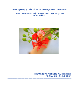 Tuyển tập 10 đề thi trắc nghiệm chất lượng học kỳ II môn Toán 11