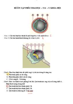 Đề cương ôn tập Phôi thai học có đáp án chi tiết | Đại học Y dược thành phố Hồ Chí Minh