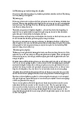 Thị Trường Nợ và Vốn Cổ Phần: Đặc Điểm và Phân Biệt