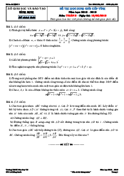 Đề thi học sinh giỏi cấp tỉnh Toán 9 năm 2018 – 2019 sở GD&ĐT Bình Định