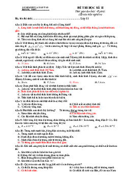 Đề thi học kì 2 môn Vật lý lớp 11 năm 2022 - 2023| đề 2
