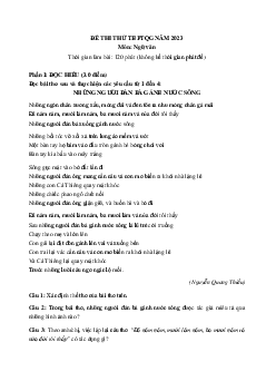 Đề thi thử THPTQG môn Ngữ văn năm 2023 (đề số 4)