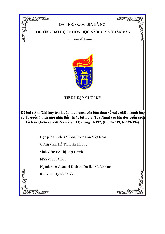 Phân tích cuộc chiến tranh biên giới phía Bắc 1979 | Tiểu luận cuối kì Lịch sử đảng