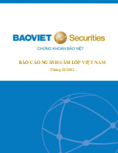 Báo cáo ngành săm lốp - Bảo Việt - Môn quản trị học - Đại Học Kinh Tế - Đại học Đà Nẵng