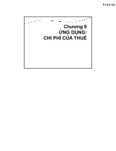 Lý thuyết chương 8 : Chi phí của thuế | Môn kinh tế vĩ mô