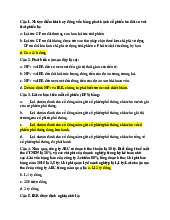 TOP câu hỏi trắc nghiệm lý thuyết và thực hành có đáp án Môn Tài chính doanh nghiệp | Học viện Chính sách và Phát triển