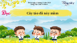 Giáo án điện tử Tiếng Việt 4 Tập Đọc Chân trời sáng tạo: Hạt táo đã nảy mầm