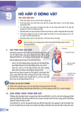 HÔ HẤP ĐỘNG VẬT: Phân Tích và Vai Trò trong Sinh Học môn Modul Hô hấp | Trường Đại Học Y Dược Thái Bình