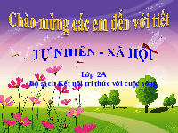 Giáo án điện tử Tự nhiên và Xã hội 2 Bài 16 Kết nối tri thức: Thực vật sống ở đâu?