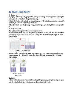 Giải SGK Khoa học tự nhiên 7 Bài 31: Thực hành chứng minh thân vận chuyển nước và lá thoát hơi nước| Chân trời sáng tạo