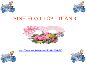 Sinh hoạt lớp - tuần 3 | Bài giảng PowerPoint Hoạt động trải nghiệm 8 | Kết nối tri thức
