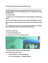 Vật nhiễm điện là gì? Có thể làm vật nhiễm điện bằng cách nào? | Vật lí 7