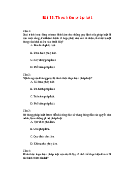 Trắc nghiệm Kinh tế và Pháp luật 10 Bài 13: Thực hiện pháp luật | Kết nối tri thức