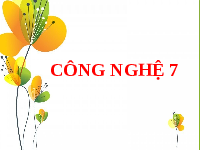 Giáo án điện tử Công nghệ 7 Bài 11 Chân trời sáng tạo: Kĩ thuật chăn nuôi gà thịt thả vườn