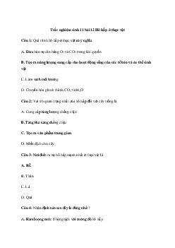 Trắc nghiệm Sinh học 11 Bài 12 (Có đáp án)| Kết nối tri thức