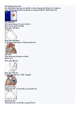 Mạch máu và cấu trúc tim Môn Giải phẫu học | Đại học Kỹ thuật Y - Dược Đà Nẵng