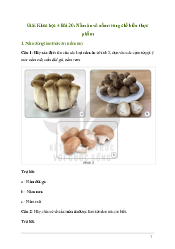 Giải Khoa học lớp 4 Bài 20: Nấm ăn và nấm trong chế biến thực phẩm | Kết nối tri thức