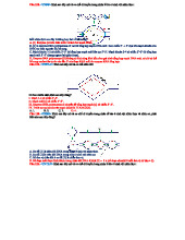 Cơ chế Tái bản DNA: Phân tích & Nhận định Quan trọng (Môn SGK)