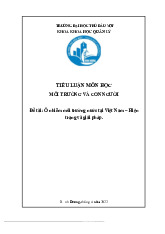 Tiểu luận Đề tài: Ô nhiễm môi trường nước tại Việt Nam – Hiện trạng và giải pháp. môn Môi trường và con người - Trường Đại học Thủ Dầu Một.