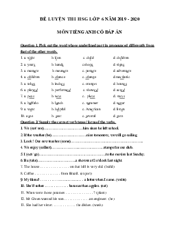 Đề ôn thi học sinh giỏi lớp 6 môn Tiếng Anh năm học 2019 - 2020 số 6