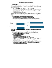 Trường Từ Vựng Ngữ Nghĩa: Khái Niệm và Cấu Trúc (29-2)