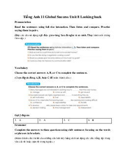 Giải Unit 8 Looking back | Tiếng Anh 11 Global Success