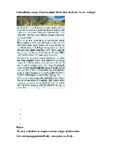 Giải SGK Tiếng Anh 12 Bright Unit 5 5e Writing