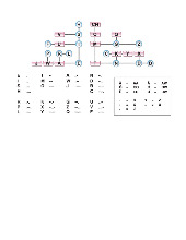 Morse Đối Xứng: Nghiên Cứu và Ứng Dụng trong Toán Học