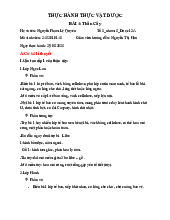 Bài 4 Vi Phẫu Thân Cây | Môn Thực vật dược - Đại học Kỹ thuật Y - Dược Đà Nẵng