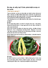 Bơ sáp có mấy loại? Cách phân biệt bơ sáp và bơ nước