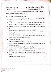 Đề thi cuối kỳ học phần Tin học năm 2024 - 2025 | Đại học Luật Thành phố Hồ Chí Minh