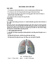 Khám Bộ Máy Hô Hấp: Hướng Dẫn Chi Tiết và Phân Tích Triệu Chứng môn Y khoa | Trường Đại Học Tây Nguyên